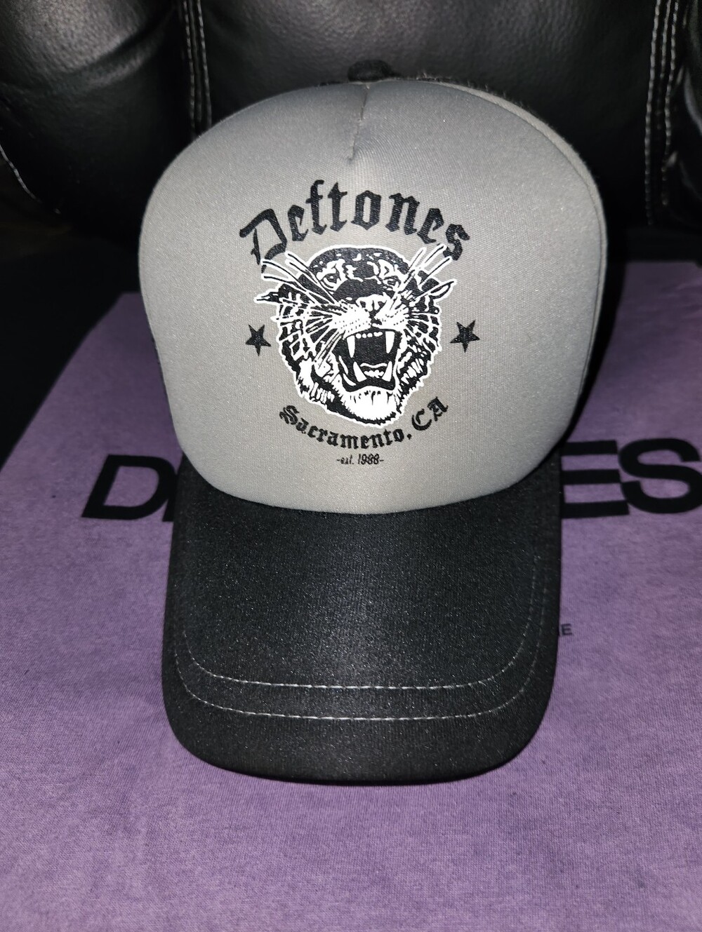 Vintage Y2K Biodomes Deftones Trucker Hat